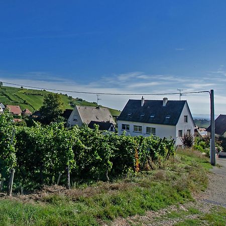 Gite Les deux belettes Riquewihr Extérieur photo